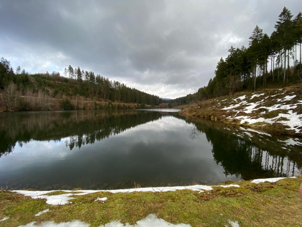 Ferienwohnung Hohensee Eg Clausthal-Zellerfeld Exteriér fotografie