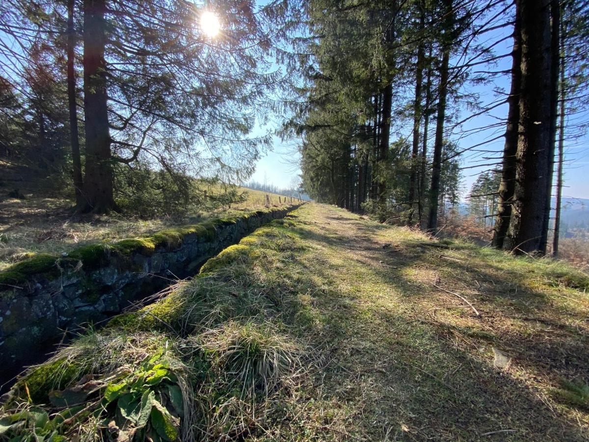 Ferienwohnung Hohensee Eg Clausthal-Zellerfeld Exteriér fotografie