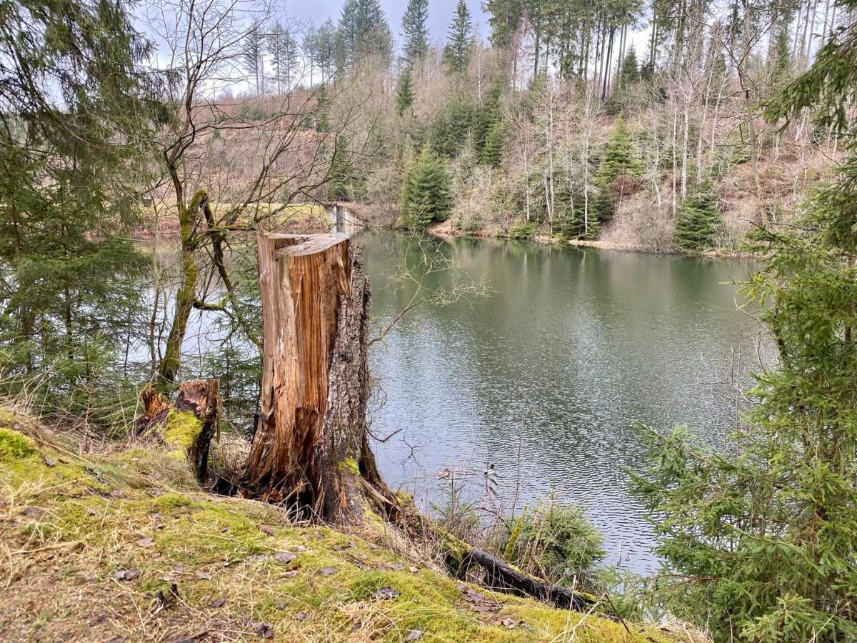 Ferienwohnung Hohensee Eg Clausthal-Zellerfeld Exteriér fotografie